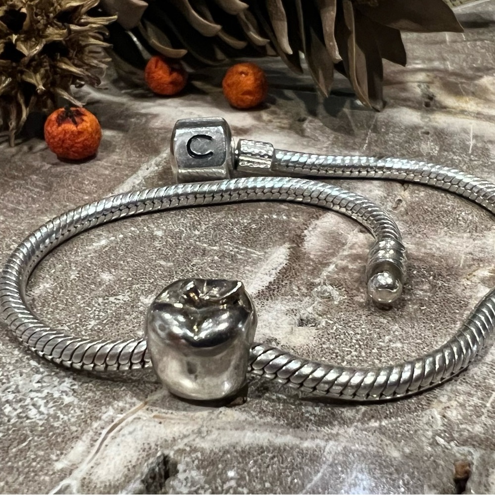 NWT Authentic Chamilia- Apple Charm in 925 Sterling Silver Fruit Food Bead